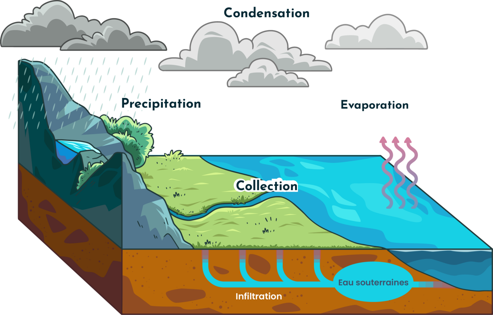 Schéma du cycle de l'eau